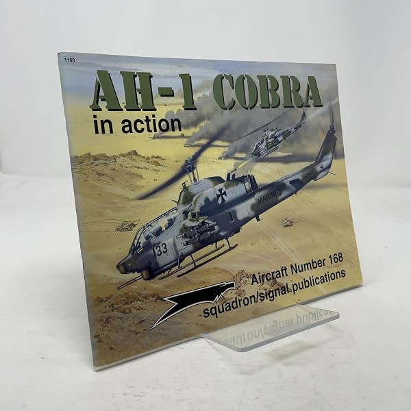 UH-1 Huey Gunships - Walk Around No. 36: Wayne Mutza